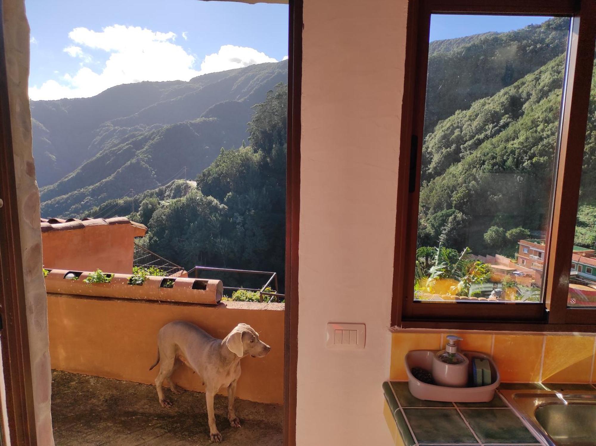 Casa Las Montanas De Anaga Сан-Крістобаль-де-ла-Лагуна Екстер'єр фото